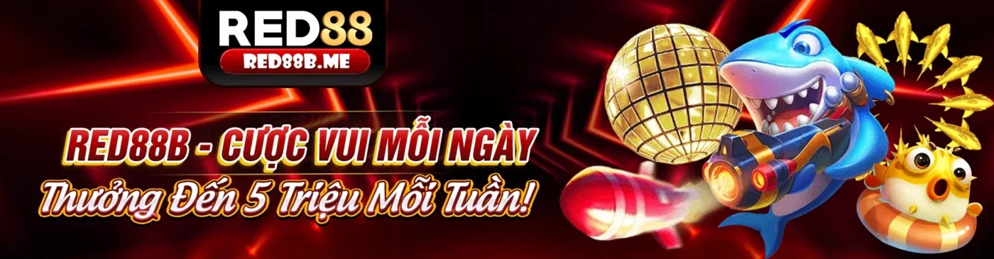 Hình ảnh chính của trang hướng dẫn cách chọn nền tảng cá cược trực tuyến tốt nhất