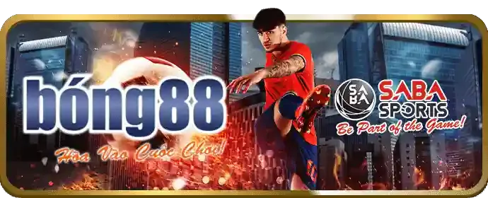 Ứng dụng di động 0king88 nhà cái